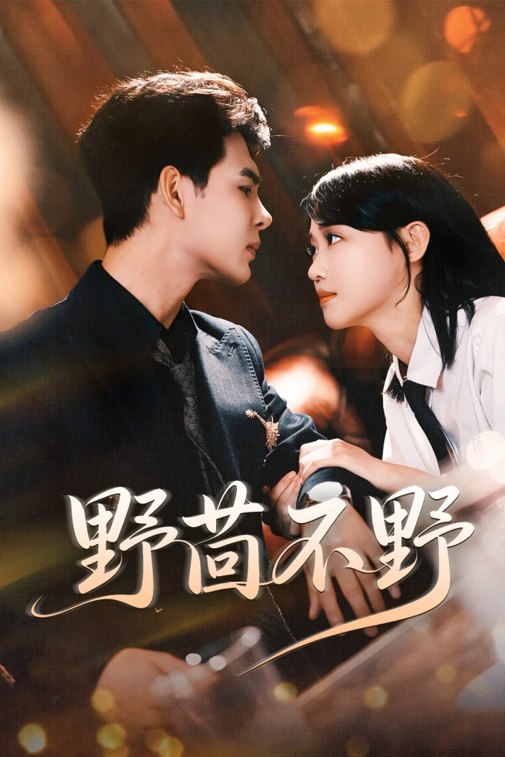 野茴不野(全集)